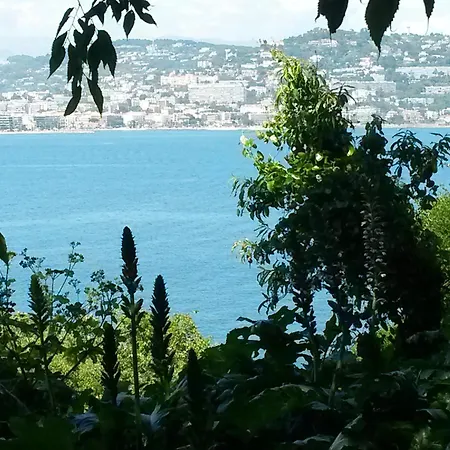 Apartman Climatise St Mandrier Pin Rolland Proche